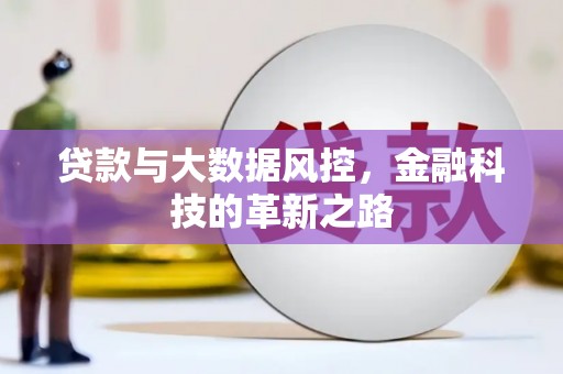 丰滨贷款与大数据风控，金融科技的革新之路