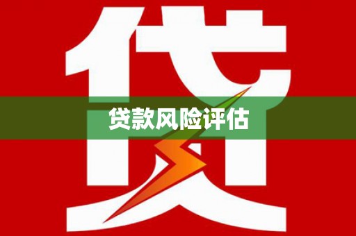 丰滨贷款风险评估