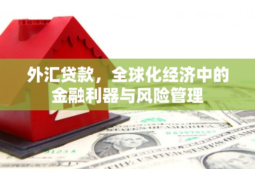 丰滨外汇贷款，全球化经济中的金融利器与风险管理