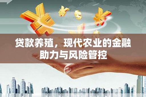 丰滨贷款养殖，现代农业的金融助力与风险管控