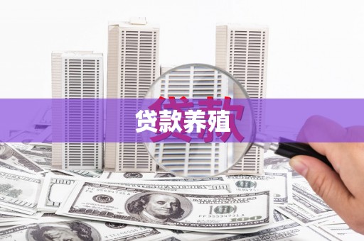 丰滨贷款养殖