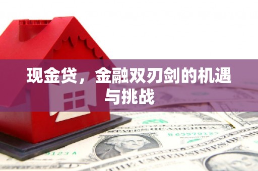 丰滨现金贷，金融双刃剑的机遇与挑战