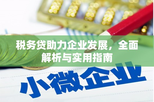 丰滨税务贷助力企业发展，全面解析与实用指南