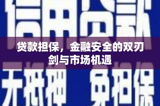 丰滨贷款担保，金融安全的双刃剑与市场机遇