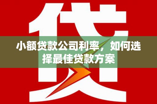 丰滨小额贷款公司利率，如何选择最佳贷款方案