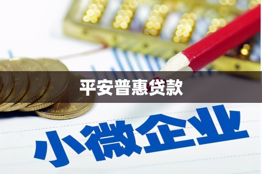 丰滨平安普惠贷款