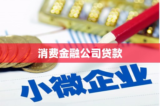 丰滨消费金融公司贷款