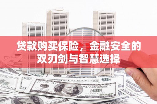 丰滨贷款购买保险，金融安全的双刃剑与智慧选择