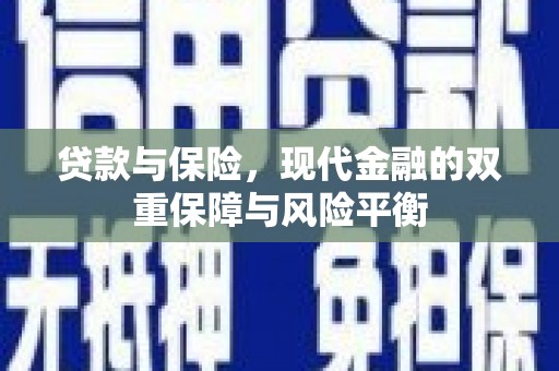 丰滨贷款与保险，现代金融的双重保障与风险平衡
