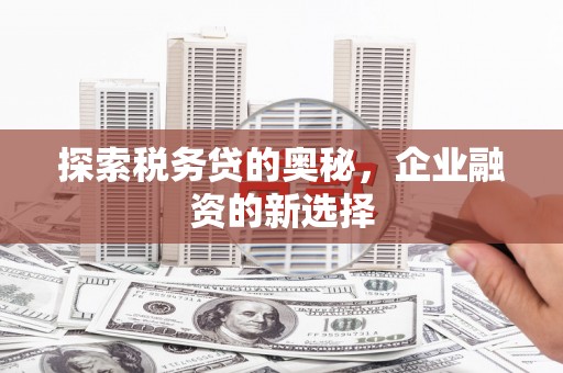 丰滨探索税务贷的奥秘，企业融资的新选择