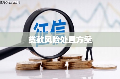 丰滨贷款风险处置方案