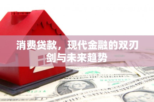 丰滨消费贷款，现代金融的双刃剑与未来趋势