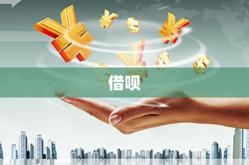 丰滨借呗