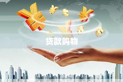 丰滨贷款购物