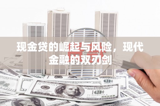 丰滨现金贷的崛起与风险，现代金融的双刃剑