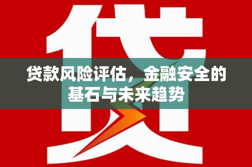丰滨贷款风险评估，金融安全的基石与未来趋势