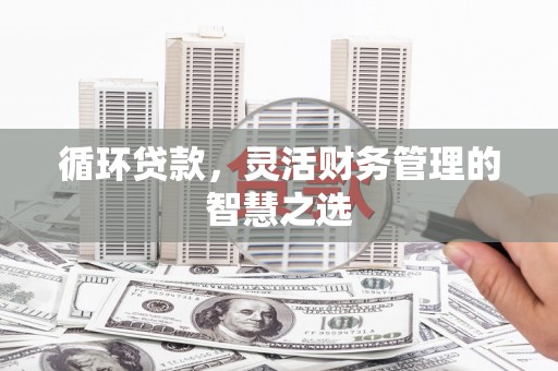 丰滨循环贷款，灵活财务管理的智慧之选