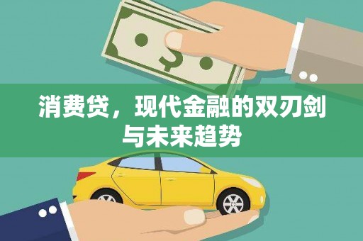 丰滨消费贷，现代金融的双刃剑与未来趋势