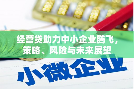 丰滨经营贷助力中小企业腾飞，策略、风险与未来展望