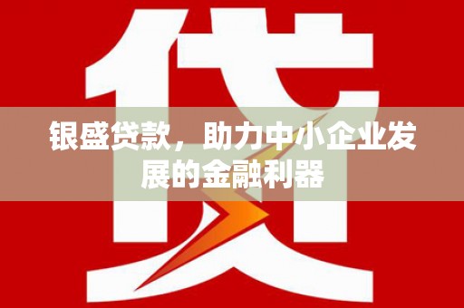 丰滨银盛贷款，助力中小企业发展的金融利器