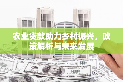 丰滨农业贷款助力乡村振兴，政策解析与未来发展