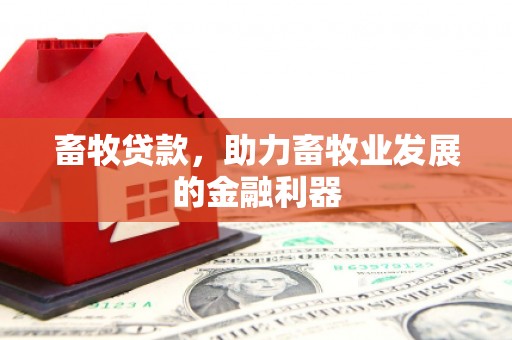 丰滨畜牧贷款，助力畜牧业发展的金融利器
