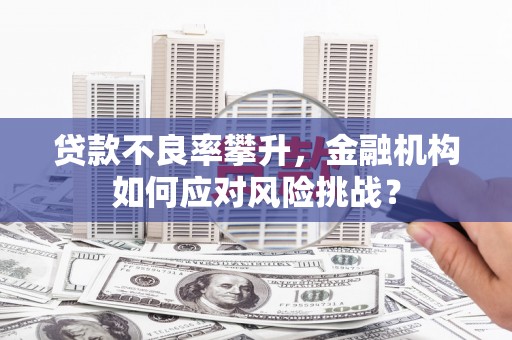 丰滨贷款不良率攀升，金融机构如何应对风险挑战？
