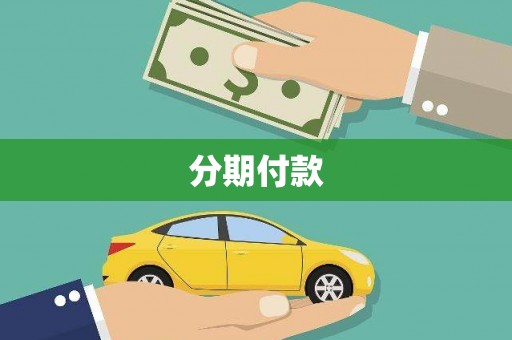 丰滨分期付款