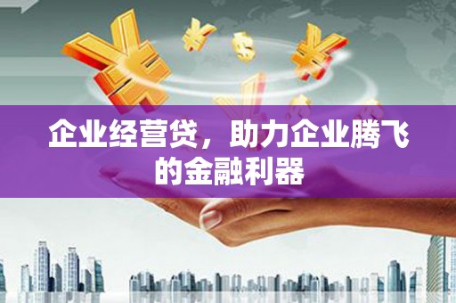 丰滨企业经营贷，助力企业腾飞的金融利器