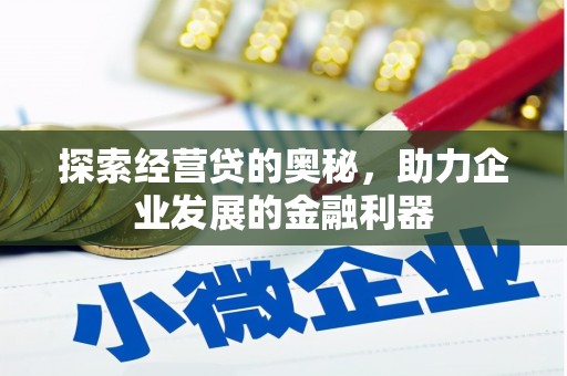 丰滨探索经营贷的奥秘，助力企业发展的金融利器