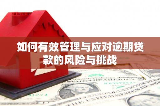 丰滨如何有效管理与应对逾期贷款的风险与挑战