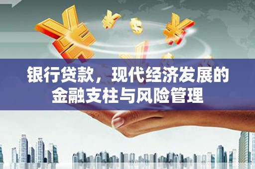 丰滨银行贷款，现代经济发展的金融支柱与风险管理