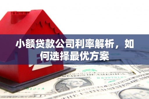 丰滨小额贷款公司利率解析，如何选择最优方案