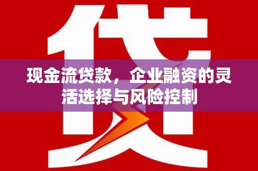 丰滨现金流贷款，企业融资的灵活选择与风险控制