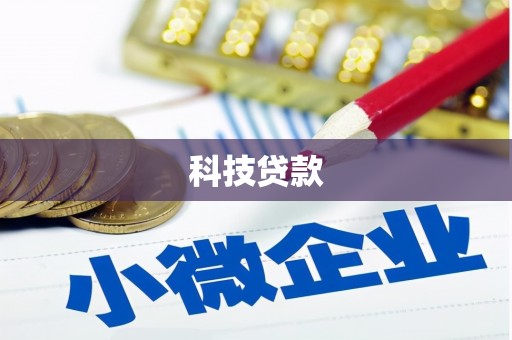 丰滨科技贷款