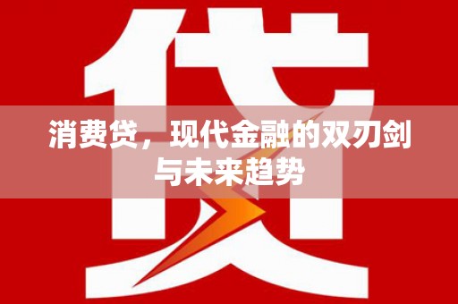 丰滨消费贷，现代金融的双刃剑与未来趋势