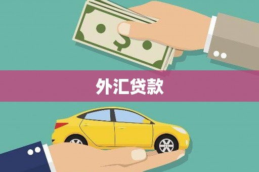 丰滨外汇贷款