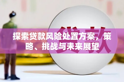丰滨探索贷款风险处置方案，策略、挑战与未来展望