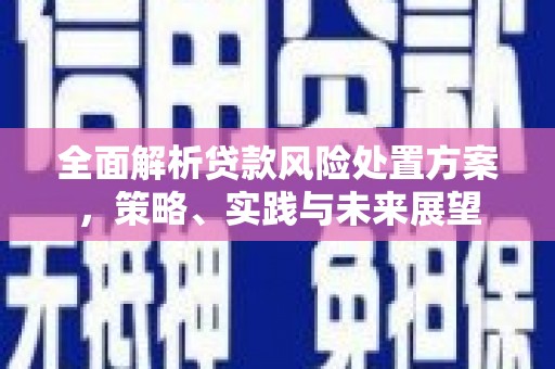 丰滨全面解析贷款风险处置方案，策略、实践与未来展望