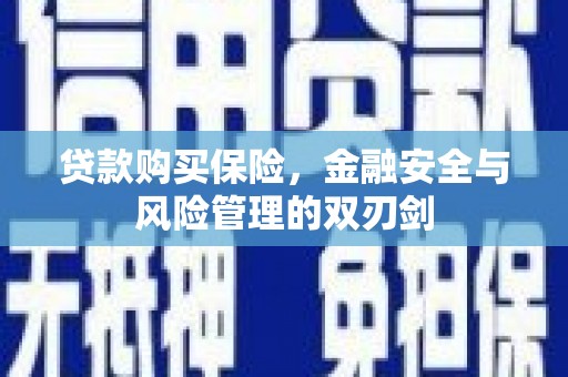 丰滨贷款购买保险，金融安全与风险管理的双刃剑