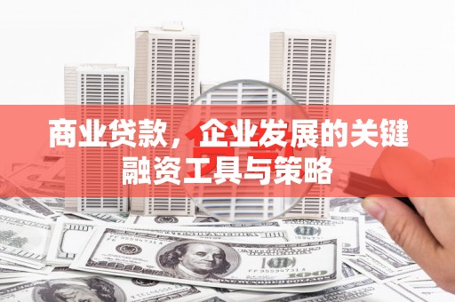 丰滨商业贷款，企业发展的关键融资工具与策略