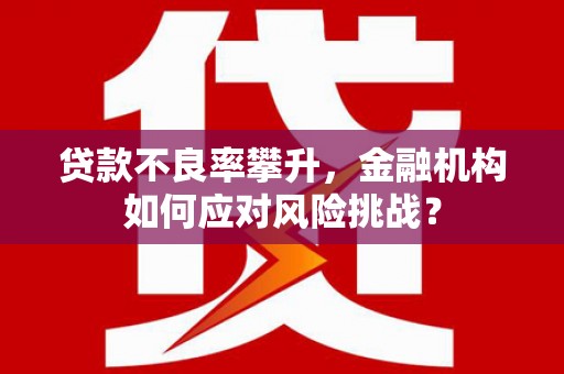 丰滨贷款不良率攀升，金融机构如何应对风险挑战？
