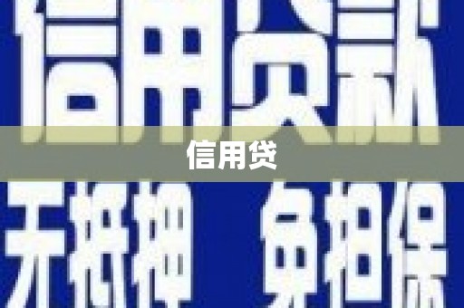丰滨信用贷