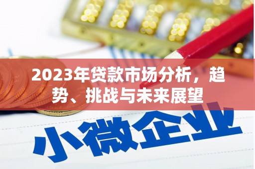 丰滨2023年贷款市场分析，趋势、挑战与未来展望