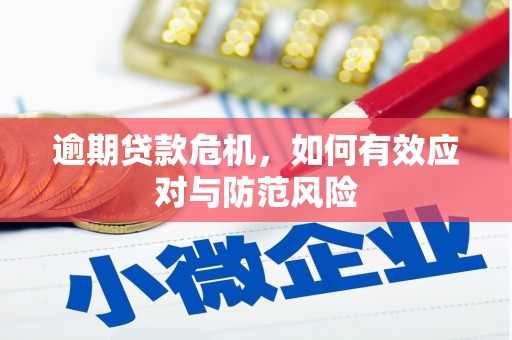 丰滨逾期贷款危机，如何有效应对与防范风险