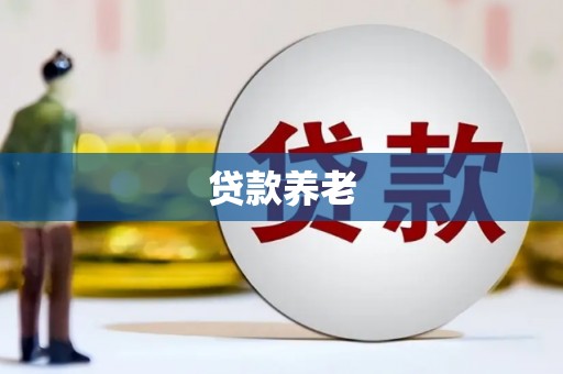 丰滨贷款养老