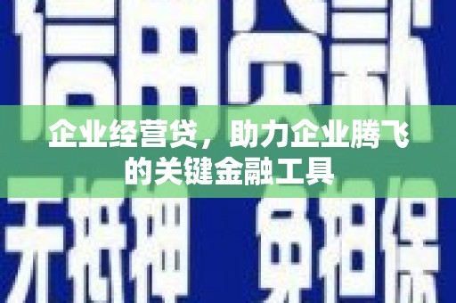 丰滨企业经营贷，助力企业腾飞的关键金融工具