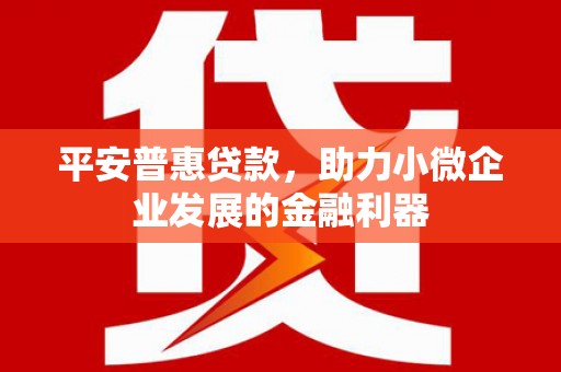 丰滨平安普惠贷款，助力小微企业发展的金融利器