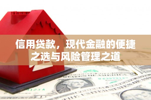 丰滨信用贷款，现代金融的便捷之选与风险管理之道