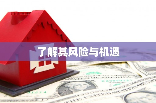 丰滨了解其风险与机遇